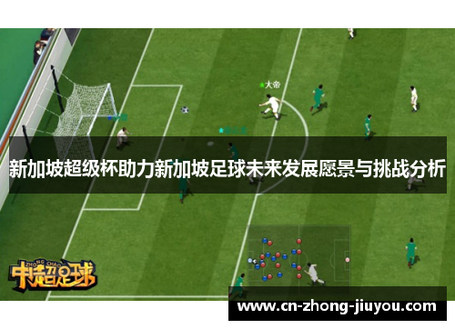 新加坡超级杯助力新加坡足球未来发展愿景与挑战分析 新加坡超级杯助力新加坡足球未来发展愿景与挑战分析