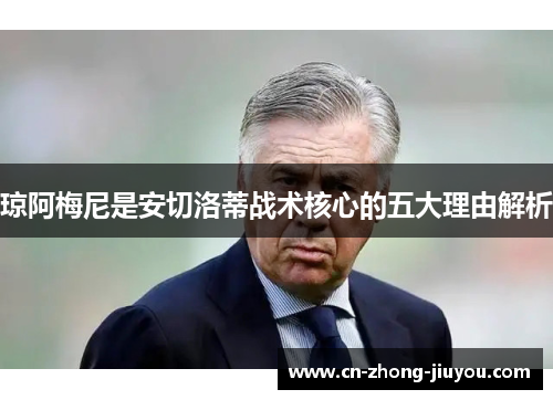 琼阿梅尼是安切洛蒂战术核心的五大理由解析