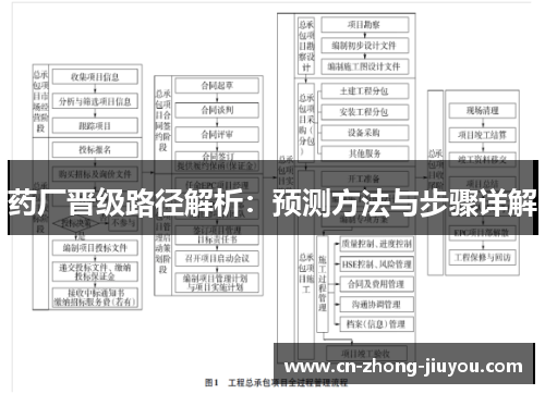药厂晋级路径解析：预测方法与步骤详解